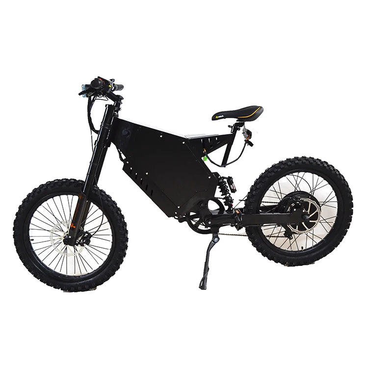New High Performance Fat Tyre E Bike 3000W 5000W 8000W Sunny Light Bee Electric Bike From China City Bike
