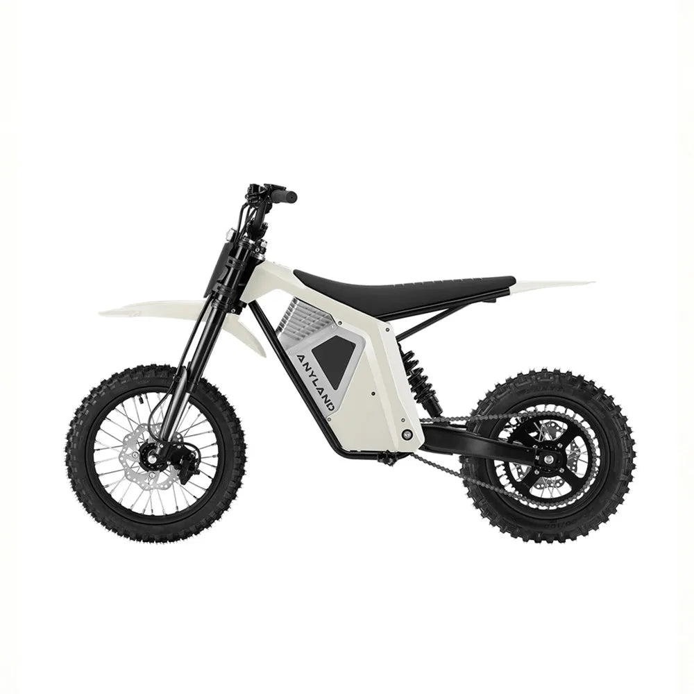 Wish01S Electric Dirt Bike Electric Motorcycle Off Road E Motocross Youth Teen Lightweight Enduro Bike Adult 12/14 Inch CE OEM