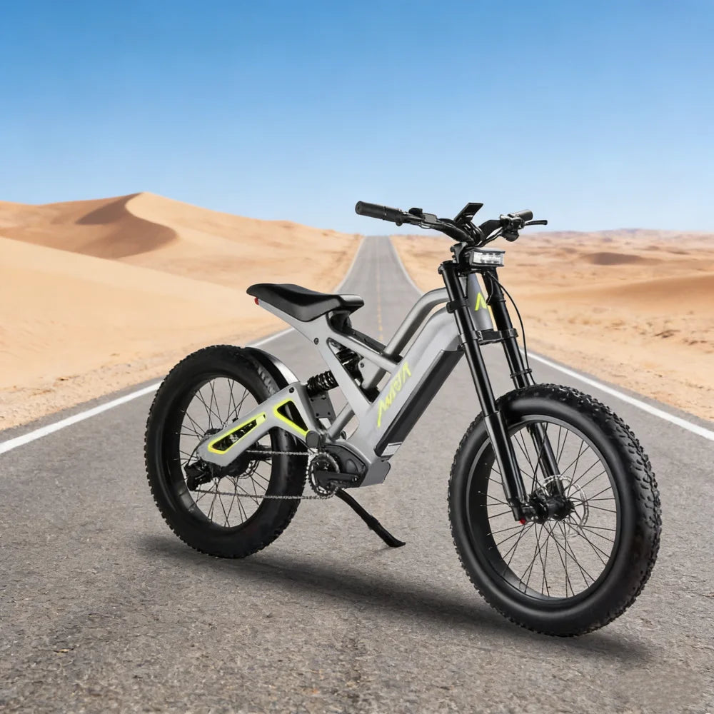 Chinese Electric Bicycles 52V Duel Battery Electric Fat E Tire Bike Ebike 24 Inch Electric Bicycle Bike