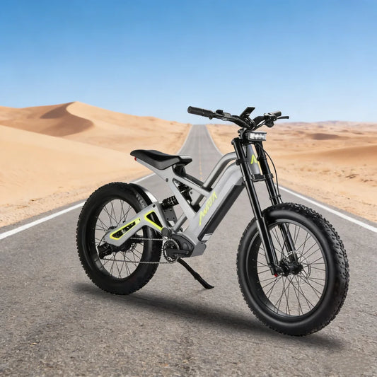 Chinese Electric Bicycles 52V Duel Battery Electric Fat E Tire Bike Ebike 24 Inch Electric Bicycle Bike