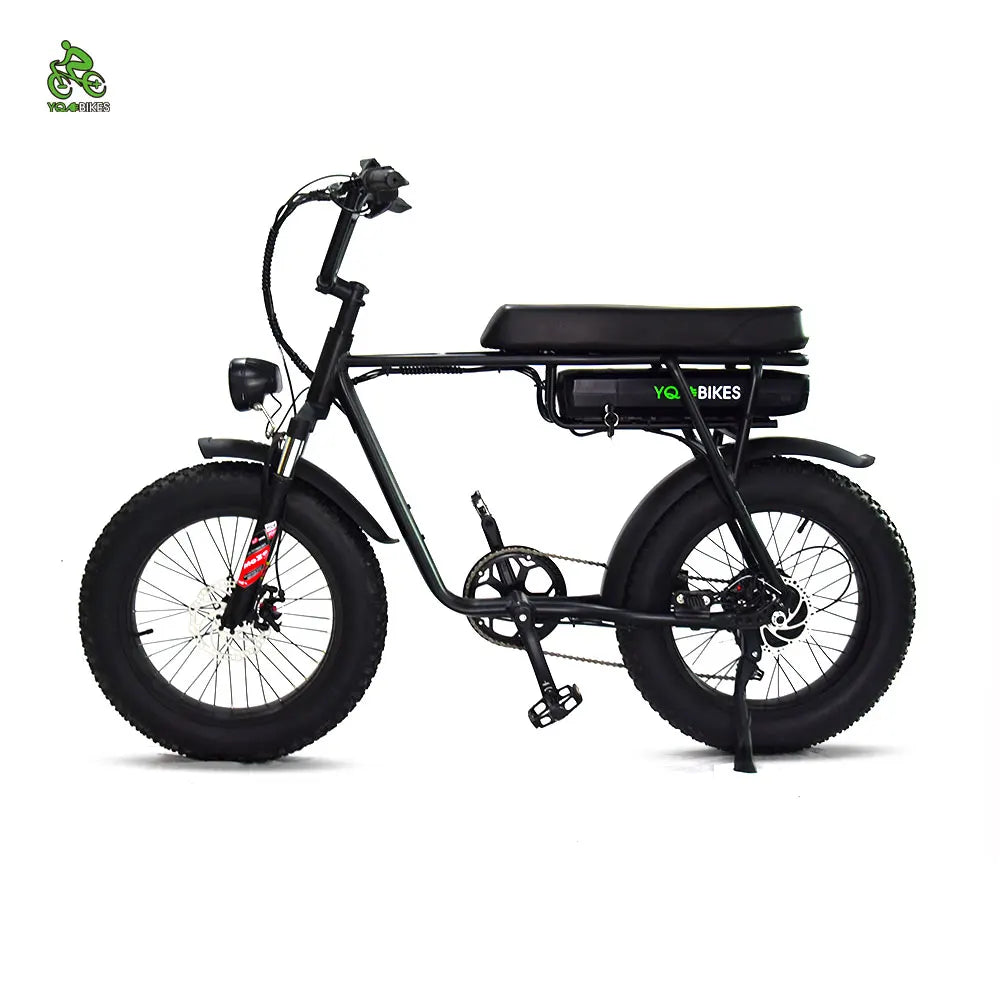 USA Stock 1000W13Ah Adult Electric Bicycle 48V Retro Pedal Assisted Electric Bike Fat Snow Mountain Ebike