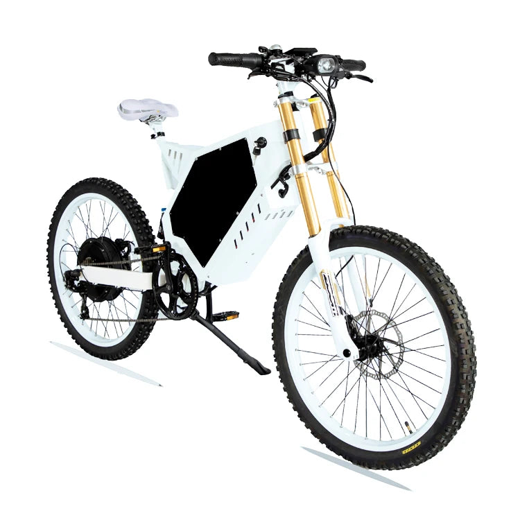 New High Performance Fat Tyre E Bike 3000W 5000W 8000W Sunny Light Bee Electric Bike From China City Bike
