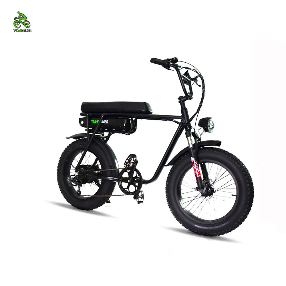 USA Stock 1000W13Ah Adult Electric Bicycle 48V Retro Pedal Assisted Electric Bike Fat Snow Mountain Ebike