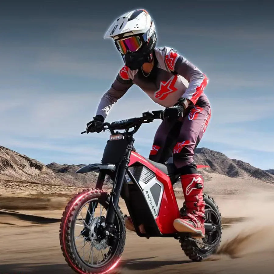 Wish01S Electric Dirt Bike Electric Motorcycle Off Road E Motocross Youth Teen Lightweight Enduro Bike Adult 12/14 Inch CE OEM