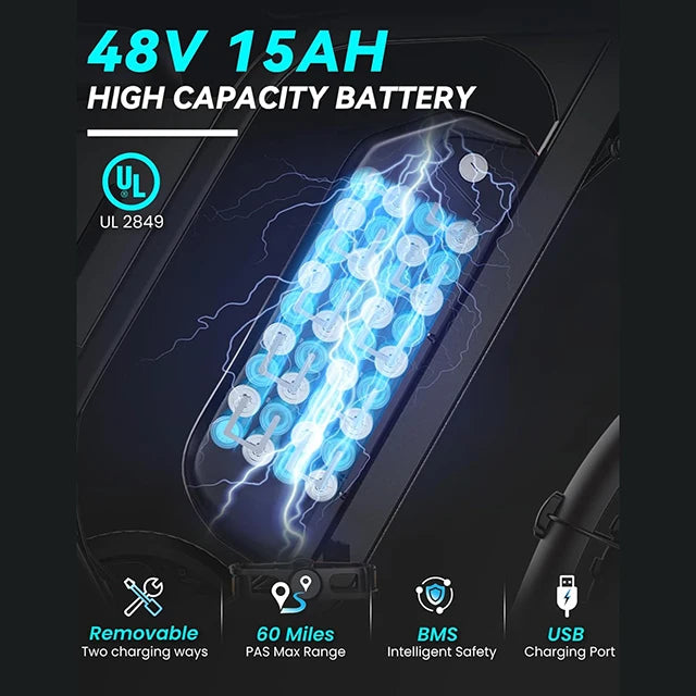 US  Stock DTTZH F6 EBike E Mountain Electric Fat Tire 48V 15Ah E-bike Electric Dirt Mountain E Bike Cycle Bicycle Ebike E-Bike