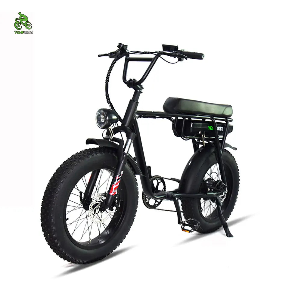 USA Stock 1000W13Ah Adult Electric Bicycle 48V Retro Pedal Assisted Electric Bike Fat Snow Mountain Ebike