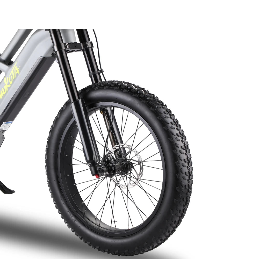 Chinese Electric Bicycles 52V Duel Battery Electric Fat E Tire Bike Ebike 24 Inch Electric Bicycle Bike