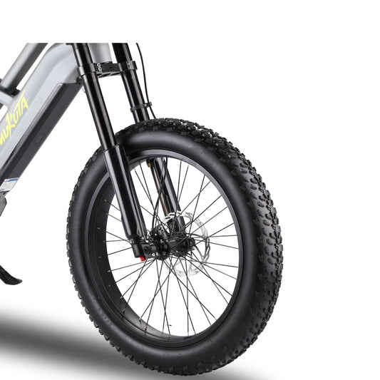 Chinese Electric Bicycles 52V Duel Battery Electric Fat E Tire Bike Ebike 24 Inch Electric Bicycle Bike