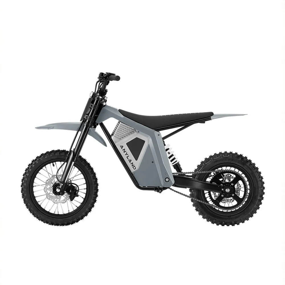 Wish01S Electric Dirt Bike Electric Motorcycle Off Road E Motocross Youth Teen Lightweight Enduro Bike Adult 12/14 Inch CE OEM