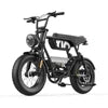 Coswheel Y16 Poland Warehouse Electric Bicycle 16 Inch 100KM Range Ebike 1000W 48V 2 Person Electric Bike for Food Delivery