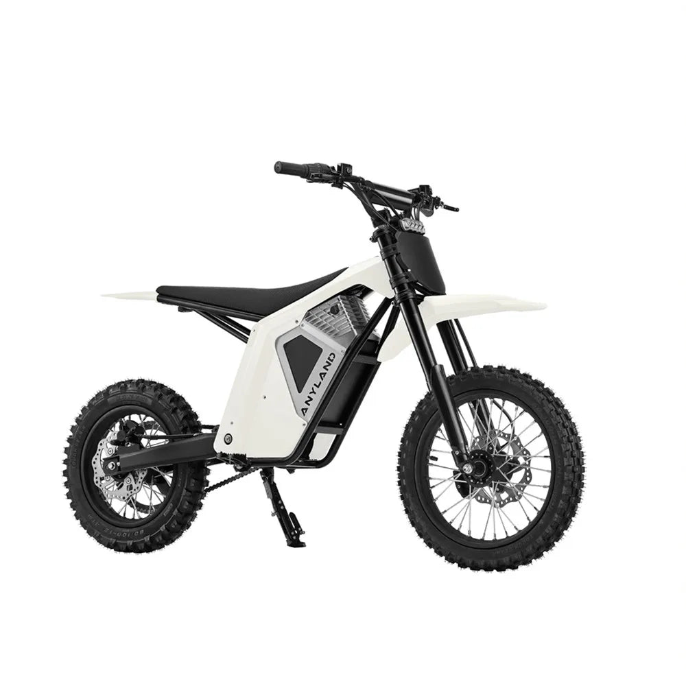 Wish01S Electric Dirt Bike Electric Motorcycle Off Road E Motocross Youth Teen Lightweight Enduro Bike Adult 12/14 Inch CE OEM