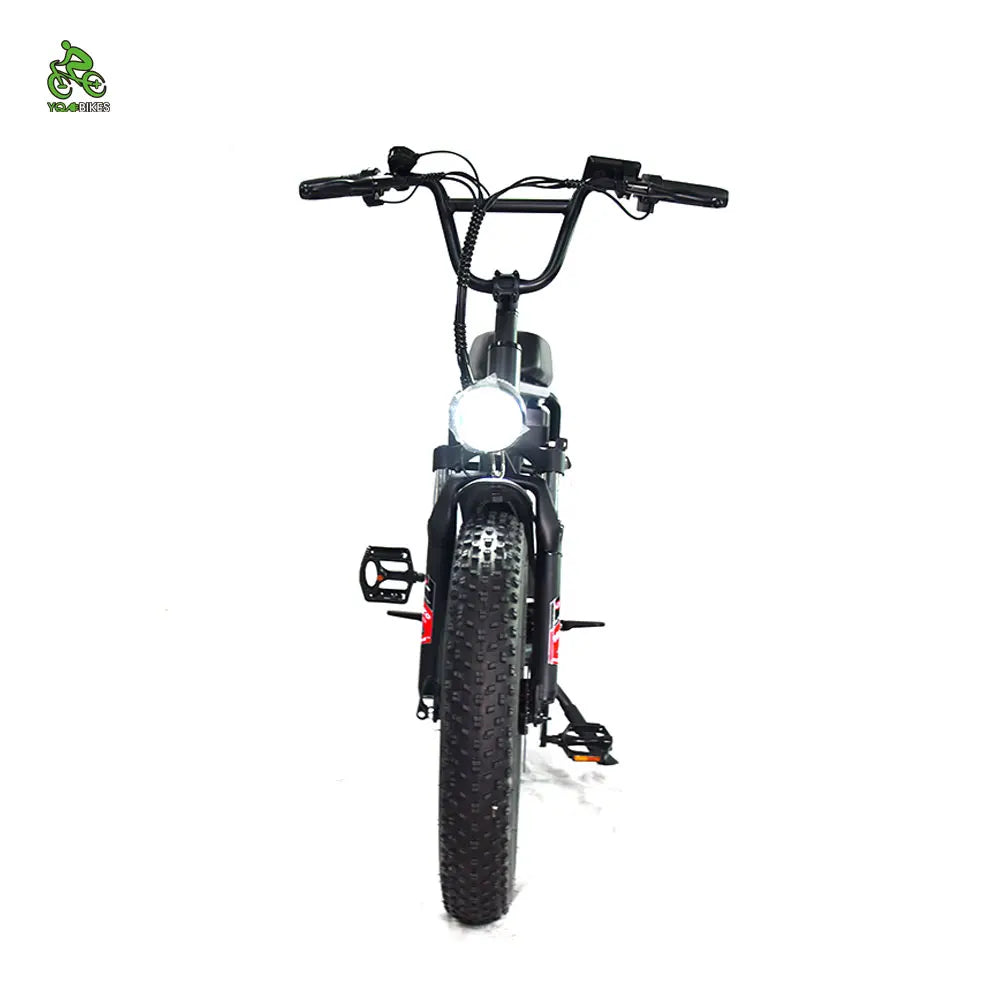 USA Stock 1000W13Ah Adult Electric Bicycle 48V Retro Pedal Assisted Electric Bike Fat Snow Mountain Ebike